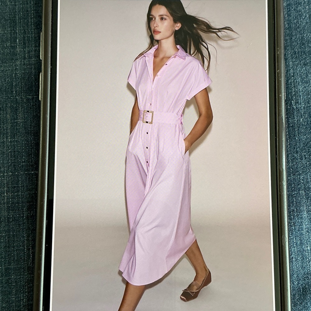 Zara Light Pink Midi Dress with Belt